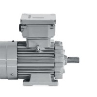 德國LOHER電機225ME-04P