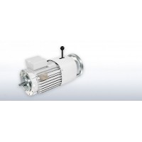 VEM進(jìn)口電機(jī)全系列原裝進(jìn)口供應(yīng)