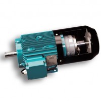 Brook Crompton電機w-EF315SN直供