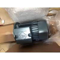 VEM 電機(jī) 原裝進(jìn)口