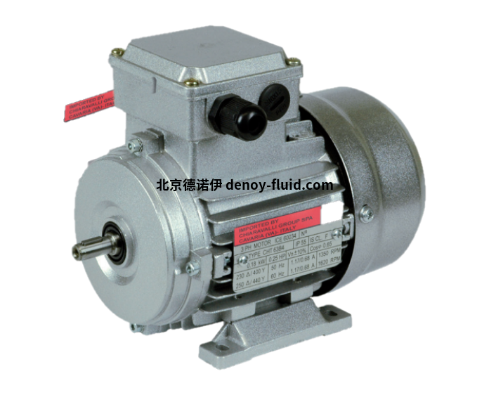 chiaravalli IE1鑄鐵電機(jī)