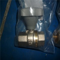 德國(guó)Riegler直插式接頭195.1212