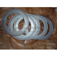 NILOS-RING 軸承 16038 190 290 31 德國進口