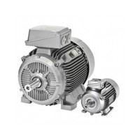 挪威LONNE電機(jī)1TZ95012BC634AA4-Z