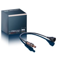 德國BERU溫度傳感器