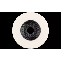 德國供應(yīng)馬圈PFERD 拋光工具 毛氈瓣片 FFS