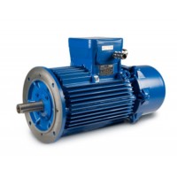 CEMP防爆電機(jī)IEC無(wú)火花和導(dǎo)電粉塵電機(jī)系列進(jìn)口