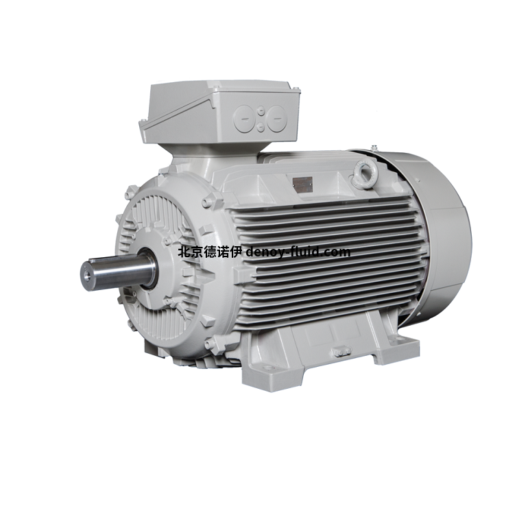 Lammers中/高壓電機(jī)