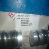 德國R+W Antriebselemente安全型聯(lián)軸器SKP/500/F