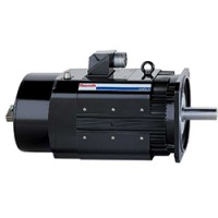 德國(guó)INDRAMAT英德拉馬特電機(jī)