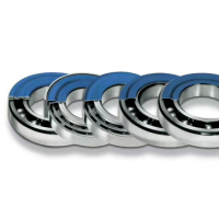 德國Nilos-Ring密封6206AV