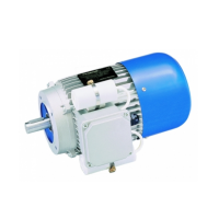 Carpanelli三相異步電機(jī)M系列