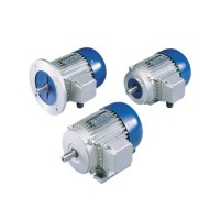 Carpanelli矢量電機MV系列