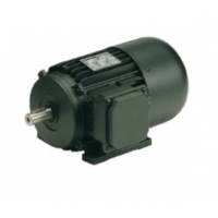 Carpanelli矢量電機MVS100型