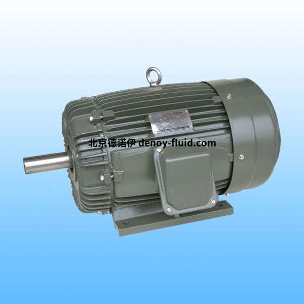 Dutchi高壓電機T2A 132LB4-11