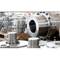 MAINA 齒式聯(lián)軸器