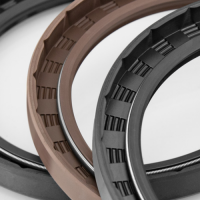 原廠意大利FP Paris油封密封件