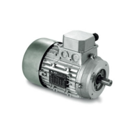 意大利nerimotori DP180M三相電機(jī)