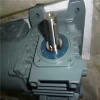 Bauer德國進口斜齒輪減速電機BG04-../D04LA4