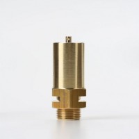 意大利Nuova General  E10高壓安全閥技術(shù)參數(shù)