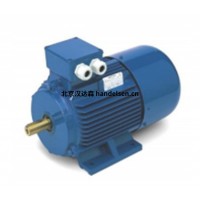 意大利OEMER電機(jī)QL 100P 電機(jī)參數(shù)