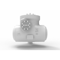 Atwood Morrill檢查閥B16.34