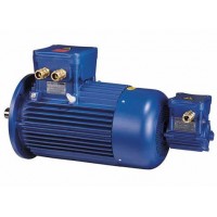 德國意大利進(jìn)口電機(jī)CEMP AB30r 160L  2 V1