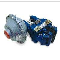 Twiflex GMX 系列盤(pán)式制動(dòng)鉗 直徑為 610 毫米