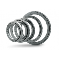 Rodriguez 轉盤軸承