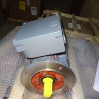 Hew三相制動電機RDMF112M/12THzFr-PrB17H