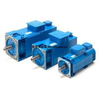 意大利 oemer高性能三相異步電動機(jī)HQL 100M