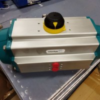 InterApp法蘭提動(dòng)式止回閥FPCV 100 . 3 3 . 3HT . 0TG - S