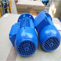 Rossi 蝸輪伺服齒輪減速器MR V 32型系列歐洲原廠進口