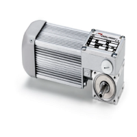 意大利Mini Motor BC2000系列 蝸輪蝸桿減速電機(jī)