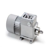 mini moter意大利異步單相雙相齒輪電機(jī)