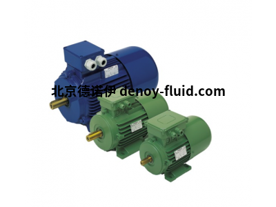 oemer工業(yè)電機(jī)MTS-MTES 系列交流三相異步電機(jī)