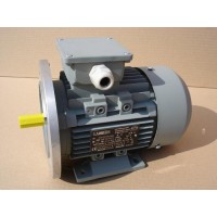 Lammers高壓電機 1TZ9002系列 功率：185kW-5MW