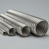 意大利Eurotis柔韌波紋管，用于管道，太陽能和天然氣