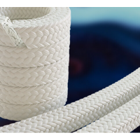 JAMES 泵填料Lionpak 2200用于閥門、旋轉(zhuǎn)設(shè)備和往復(fù)式設(shè)備中