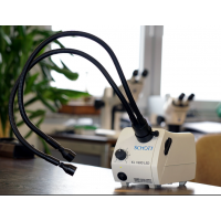 Schott AGKL 300 LED 是用于光纖導(dǎo)光板的緊湊型 LED 光源