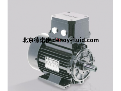 lammers防爆電機(jī)1TE10X1-0DA2型尺寸63 – 315