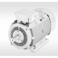 VEM生產(chǎn)低壓，中高壓電機 提供穩(wěn)壓驅(qū)動系統(tǒng)