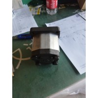 德國(guó)ROQUET鋁制齒輪泵和電機(jī)1PLA36DG09R 用于汽車(chē)行業(yè)使用