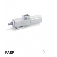 minimotorPAEF同軸齒輪電機 F系列 (IP67)食品和飲料應(yīng)用