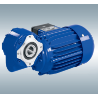 WEG UE 303 T系列緊湊型電子換向直流電動機