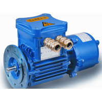 CEMP ICE危險(xiǎn)區(qū)域電機(jī)  E..AB / E..AC IE3-IE4