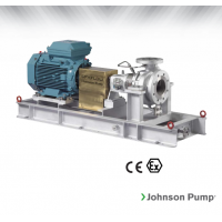 Johnson Pump 重型流程泵，適合化工/石化工業(yè)、煉油廠和一般工業(yè)應用