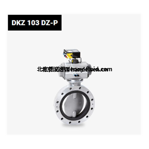 WAREX Valve DKZ 103 DZ-P