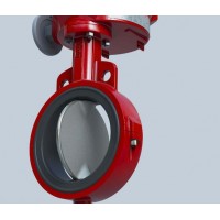 bray單體式閥板襯膠蝶閥20/21系列衛(wèi)生化工應(yīng)用