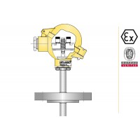 aplisens CT T1 法蘭工藝連接溫度計類型潤濕件材料304ss